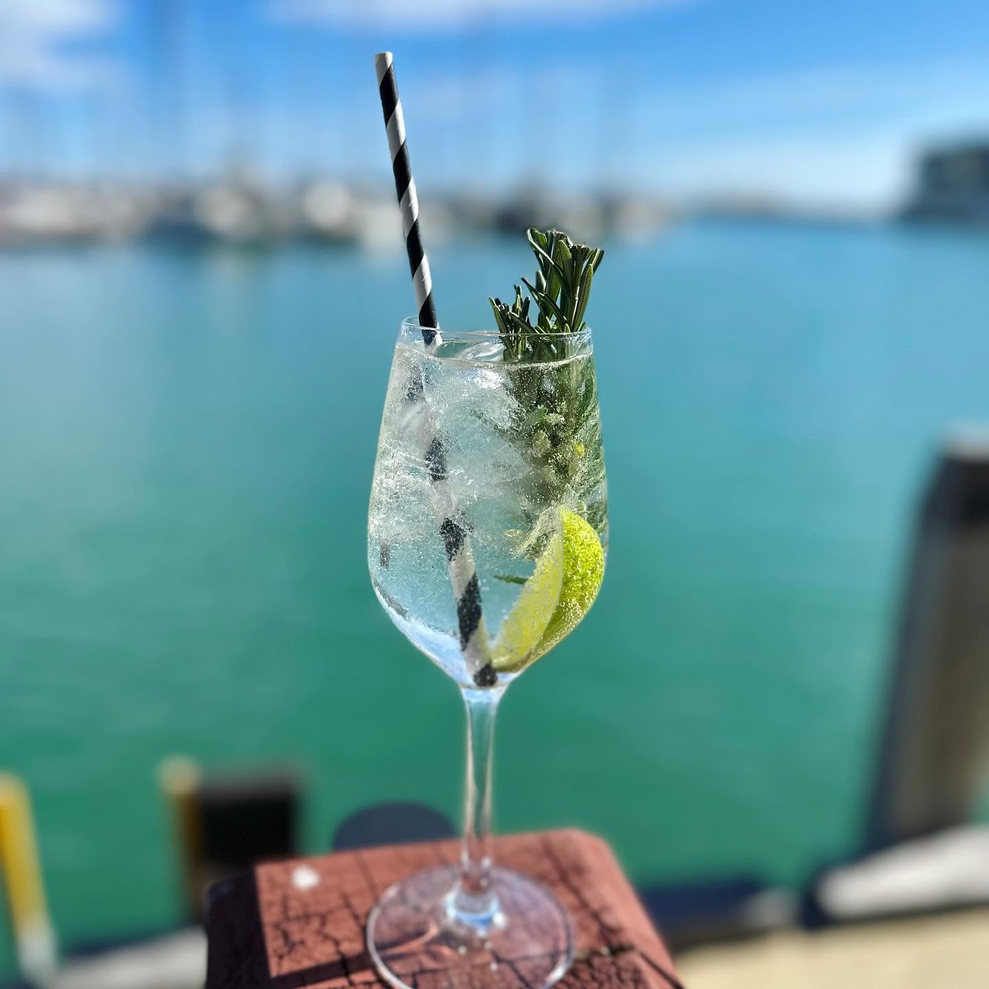 Gin and tonic with rosemary
